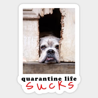 quarantine life sucks Sticker